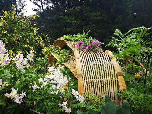 文科大講堂丨現代竹編在公共藝術景觀中的運用